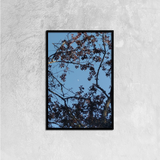 Luna through Autumn Leaves (Framed Canvas Print)